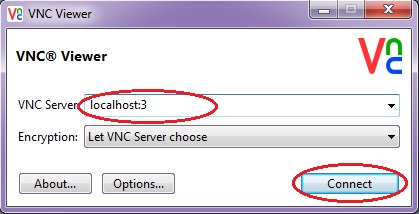 VNC Viewer local 01